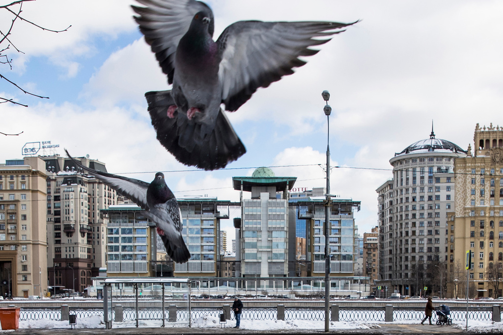 FILE - Birds fly with the British Embassy building at center in the background in Moscow, Russia, March 16, 2018. (AP Photo/Pavel Golovkin, File)