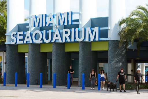 FILE - Visitors exit the Miami Seaquarium, March 7, 2024, in Key Biscayne, Fla. (AP Photo/Marta Lavandier, file) FILE - Visitors exit the Miami Seaquarium, March 7, 2024, in Key Biscayne, Fla. (AP Photo/Marta Lavandier, file)