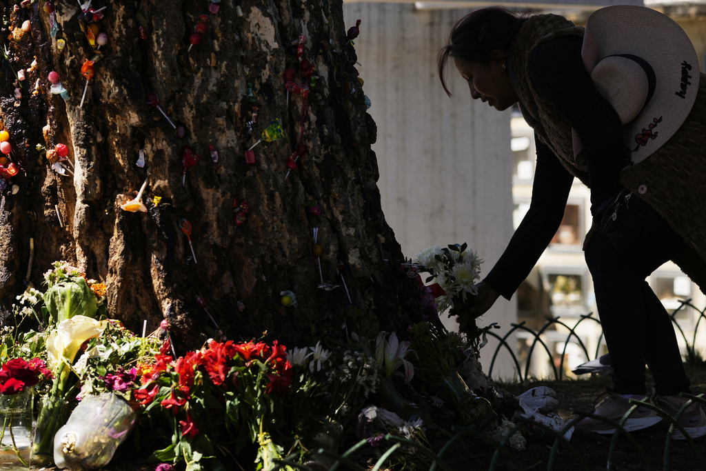 A woman leaves flowers at a tree that was struck by lightning years ago and has since been considered sacred, at the General Cemetery in La Paz, Bolivia, Sunday, Aug. 31, 2025. (AP Photo/Juan Karita)