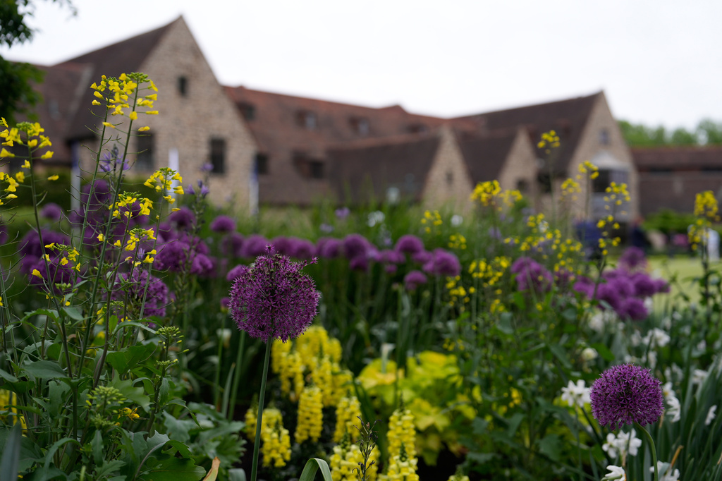 Flowers bloom near the clubhouse of the Aronimink Golf Club before the PGA Championship golf tournament Monday, May 11, 2026, in Newtown Square, Pa. (AP Photo/Matt Slocum)