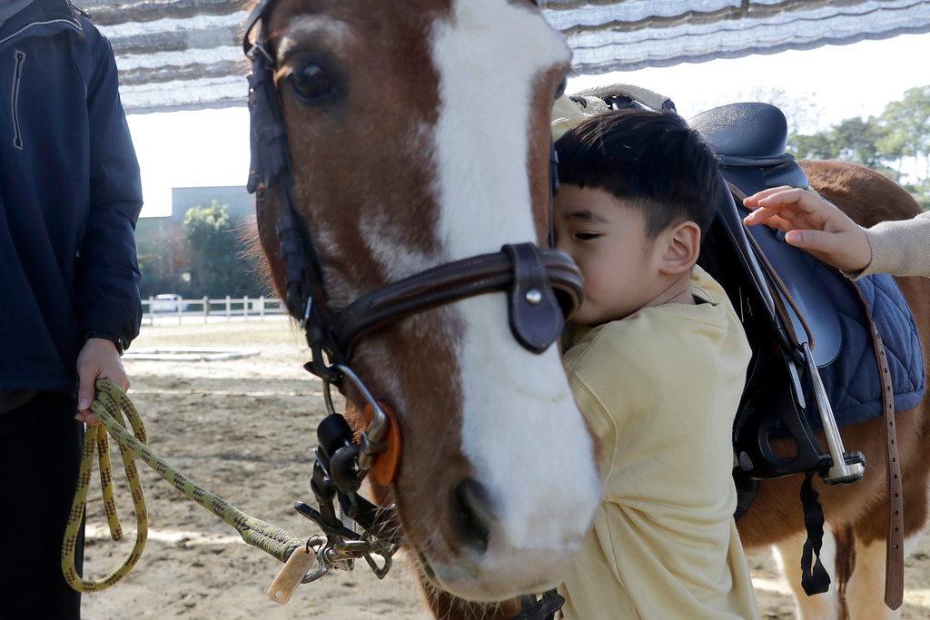 A boy hugs a horse during an equine-assisted therapy course at the Therapeutic Riding Centre in Taoyuan in northern Taiwan on Thursday, Jan. 29, 2026. (AP Photo/Chiang Ying-ying)