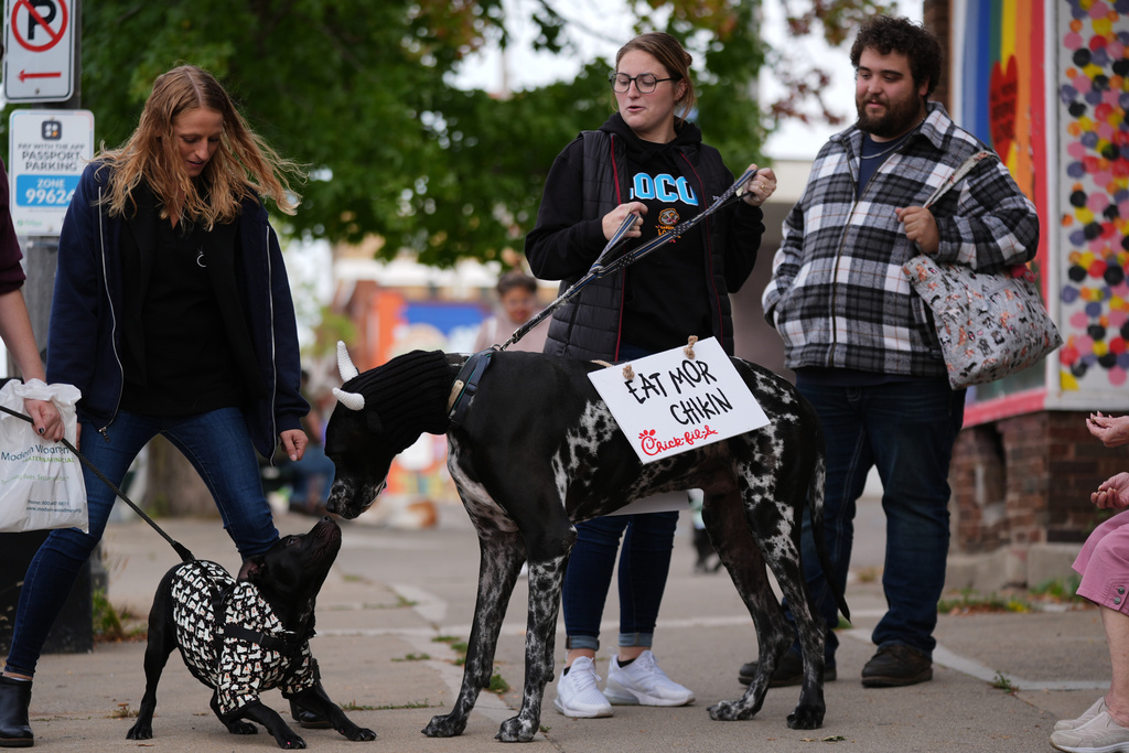 Visitors walk their dogs during an event for dog trick-or-treating, Friday, Oct. 17, 2025, in Lansing, Mich. (AP Photo/Ryan Sun)
