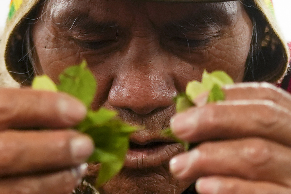 FILE - Spiritual guide Julio Quispe performs a ceremony with coca leaves for a confederation of Indigenous governing bodies in La Paz, Bolivia, April 17, 2024. (AP Photo/Juan Karita)