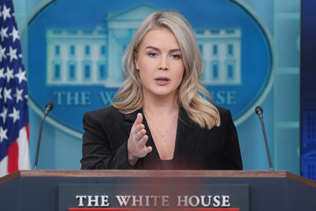White House press secretary Karoline Leavitt speaks during a press briefing at the White House, Thursday, Nov. 20, 2025, in Washington. (AP Photo/Evan Vucci)