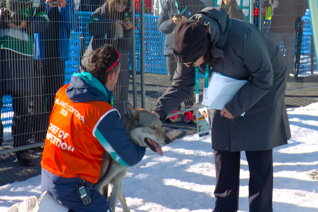 In this image taken from video provided by Olympic Broadcasting Services, OBS, an official holds a dog after it ran onto the track near the finish during the heats of the cross-country skiing women's team sprint free at the 2026 Winter Olympics, in Tesero, Italy, Wednesday, Feb. 18, 2026. (Olympic Broadcasting Services via AP)