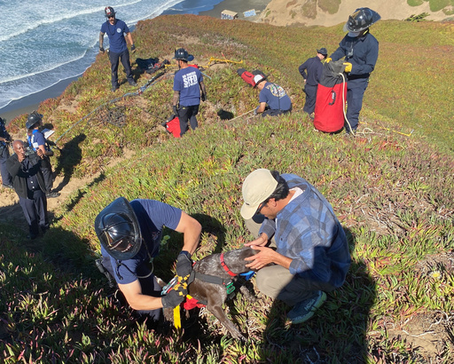 This photo provided by the San Francisco Fire Department shows the owner of a dog greeting his pooch after firefighters rescued it after it felll off a sea cliff in San Francisco on Tuesday, Oct. 28, 2025. (Rescue Captain Samuel Menchaca/San Francisco Fire Department via AP) This photo provided by the San Francisco Fire Department shows the owner of a dog greeting his pooch after firefighters rescued it after it felll off a sea cliff in San Francisco on Tuesday, Oct. 28, 2025. (Rescue Captain Samuel Menchaca/San Francisco Fire Department via AP)