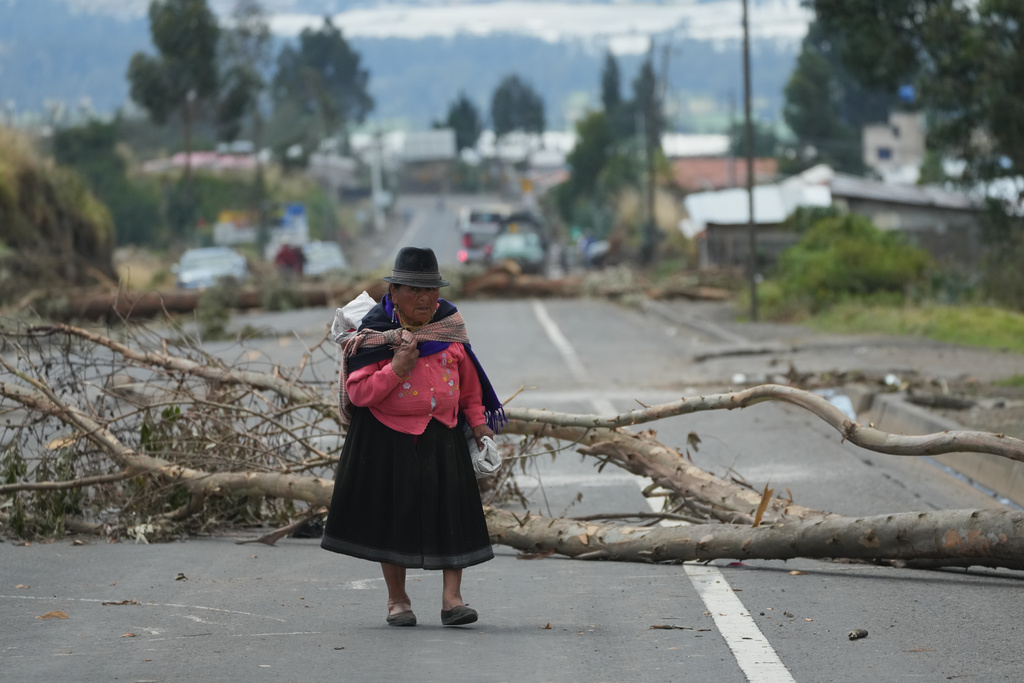 An Indigenous woman traverses roadblocks placed by demonstrators protesting the elimination of the diesel subsidy by President Daniel Noboa's, government in Cayambe, Ecuador, Sunday, Oct. 5, 2025. (AP Photo/Dolores Ochoa)