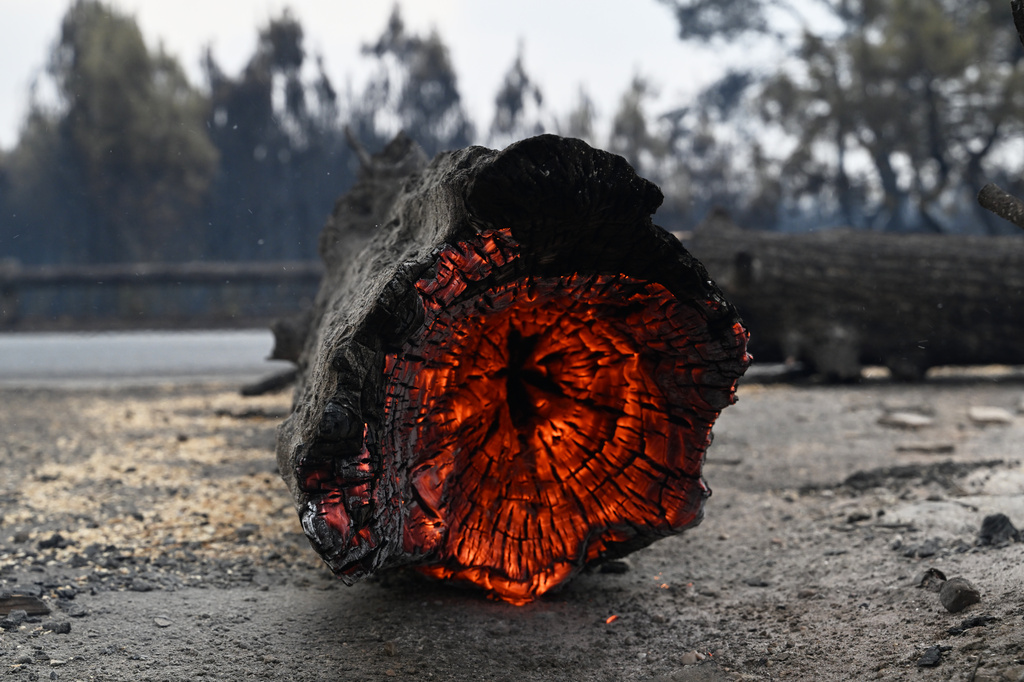 A tree trunk burns in Lanton, in the Lege-Cap-Ferret region, southwestern France, Saturday, July 25, 2026. (AP Photo/Emma Da Silva)