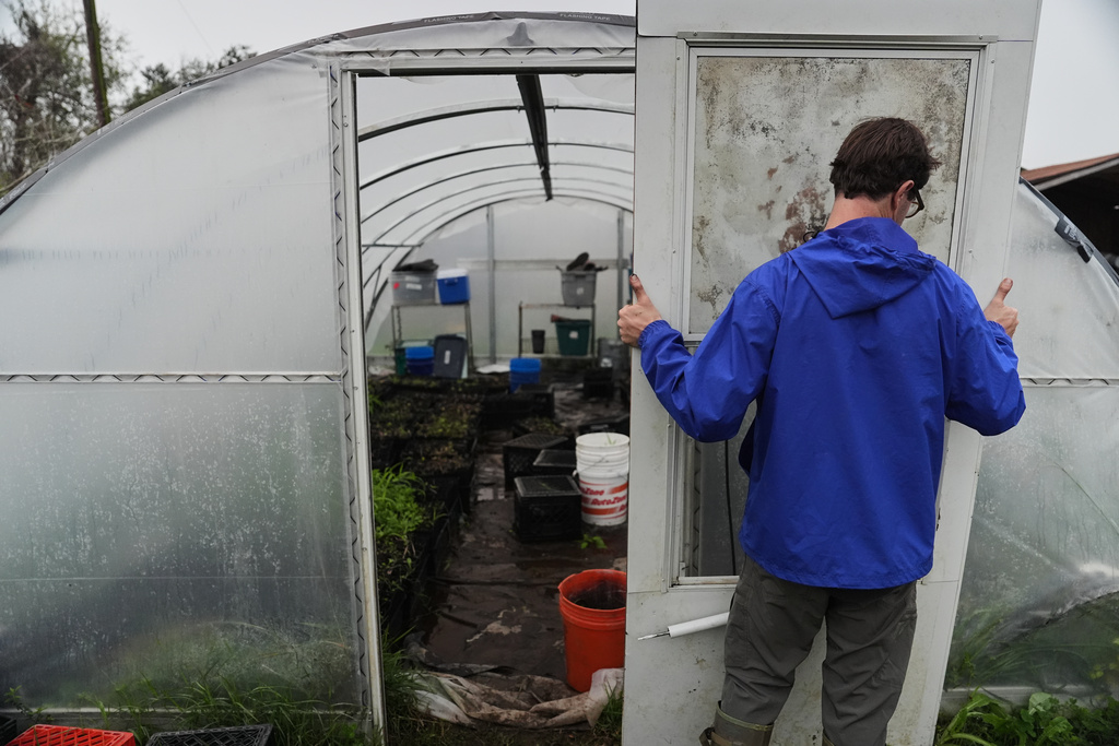 Andrew Ferris, native plants program coordinator for the Coalition to Restore Coastal Louisiana, enters a greenhouse Friday, Jan. 23, 2026, at his organizations' restoration headquarters in Violet, La. (AP Photo/Joshua A. Bickel)