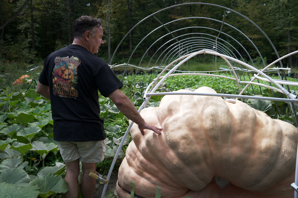 Tony Scott stands with the pumpkin he grew in his Wappingers Falls, N.Y., backyard on Sept. 17, 2025. (AP Photo/Shelby Lum)