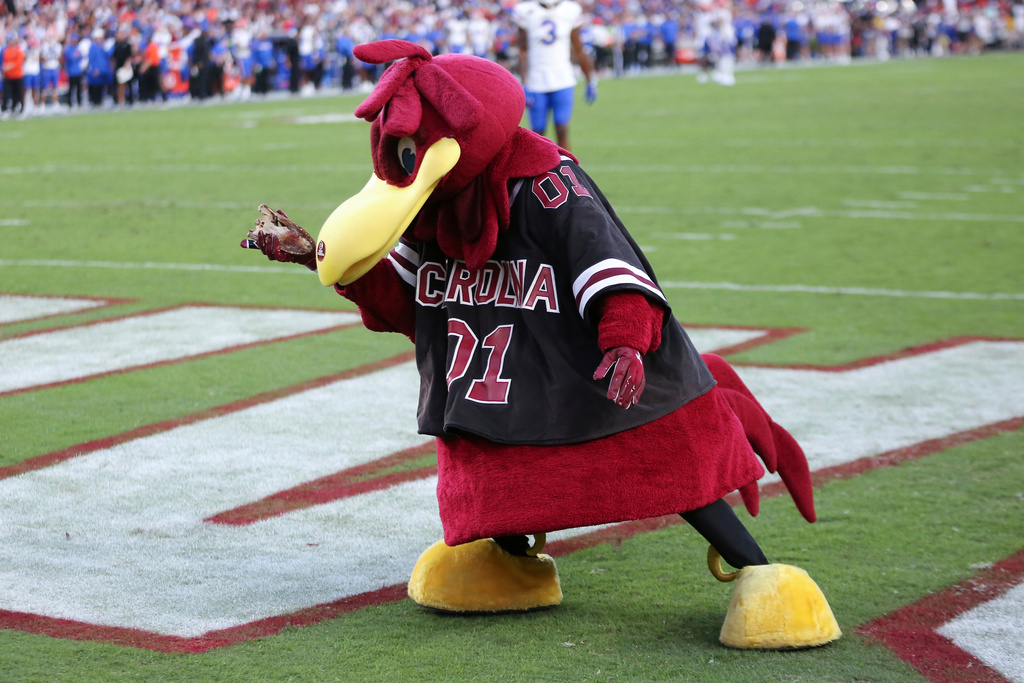 FILE - South Carolina mascot Cocky holds the top of a gator head during the second half of an NCAA college football game against Florida, Oct. 14, 2023, in Columbia, S.C. (AP Photo/Artie Walker Jr., File)