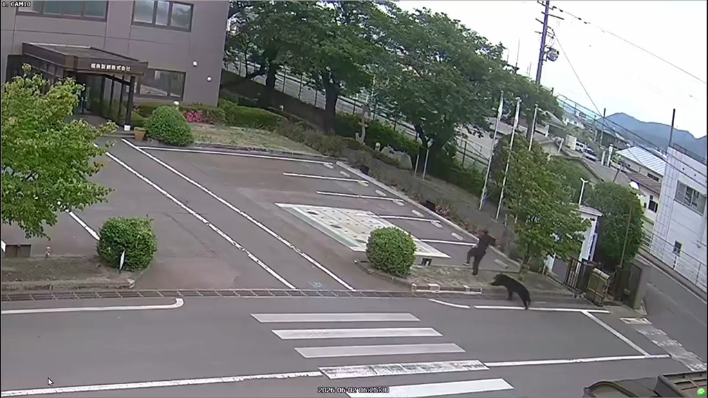 This image made from the security camera footage provided by the Fukushima Steel Works, shows a bear, right, chasing a person, second right, on its premises in Fukushima, Japan, Tuesday, June 2, 2026. (FUKUSHIMA STEEL WORKS via AP)