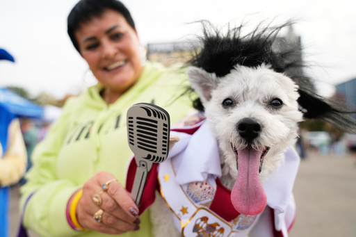 Michelle Dixon, of Laingsburg, holds her dog Abu, who is dressed as singer Elvis Presley, during an event for dog trick-or-treating, Friday, Oct. 17, 2025, in Lansing, Mich. (AP Photo/Ryan Sun) Michelle Dixon, of Laingsburg, holds her dog Abu, who is dressed as singer Elvis Presley, during an event for dog trick-or-treating, Friday, Oct. 17, 2025, in Lansing, Mich. (AP Photo/Ryan Sun)