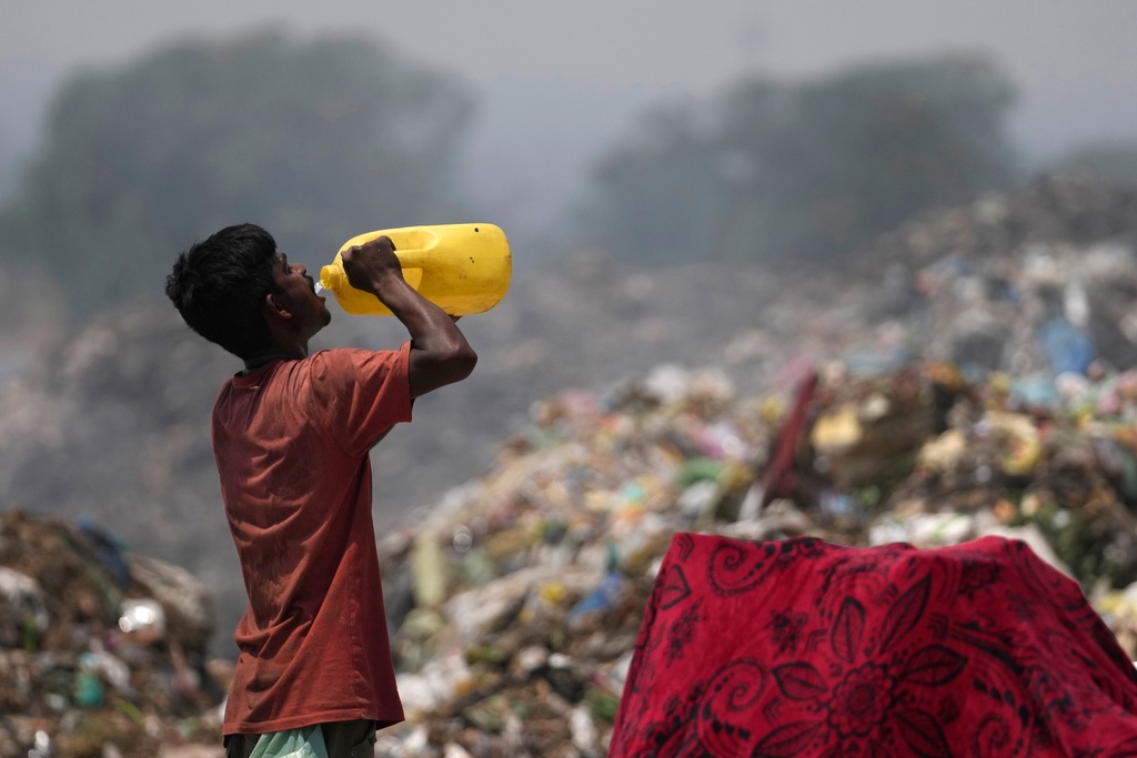 FILE - A waste picker drinks water while working during a heat wave at a garbage dump on the outskirts of Jammu, India, Wednesday, June 19, 2024. (AP Photo/Channi Anand, File)