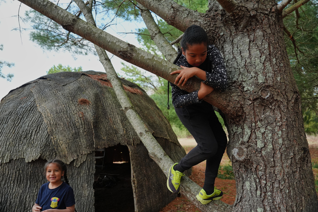 Quinobeguin Spears Fulton, 11, climbs a tree Tuesday, April 21, 2026, at his grandparents' farm in Hopkinton, R.I. (AP Photo/Joshua A. Bickel)