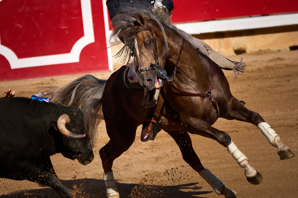 Spanish rejoneador Andy Cartagena performs on horseback during a bullfight at the San Fermín festival in the bullring of Pamplona, northern Spain, Monday, July 6, 2026. (AP Photo/Miguel Oses)