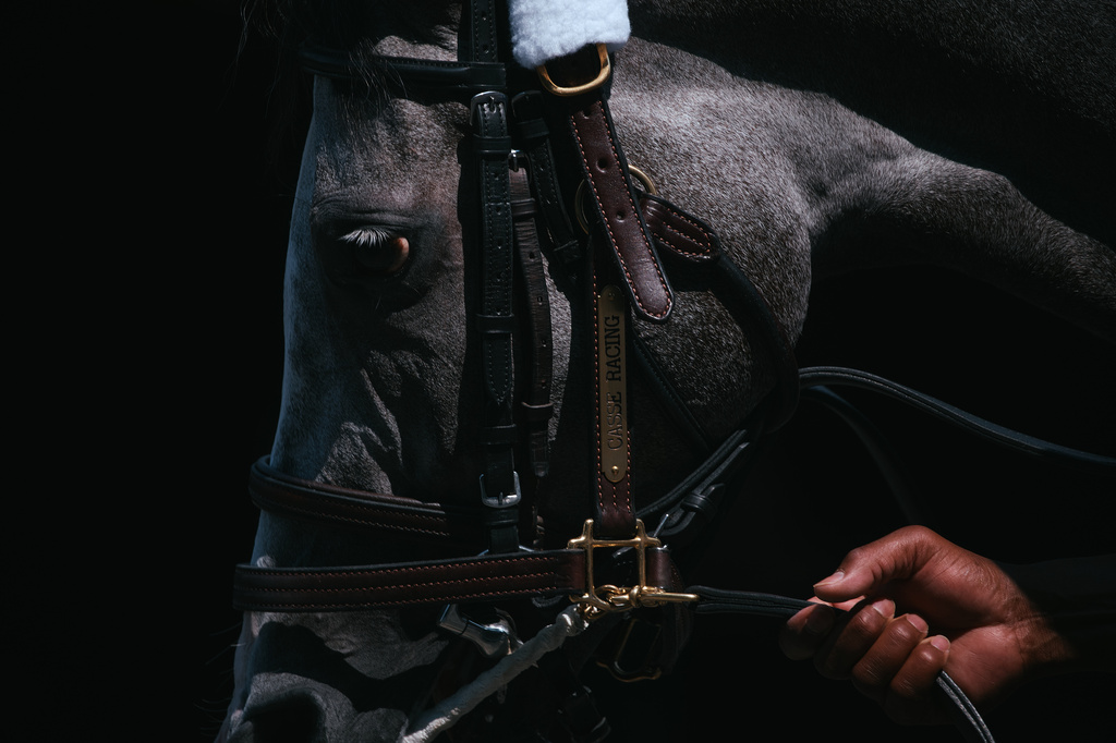 A handler walks a horse at Aqueduct Racetrack in the Queens borough of New York, Sunday, June 28, 2026. (AP Photo/Andres Kudacki)