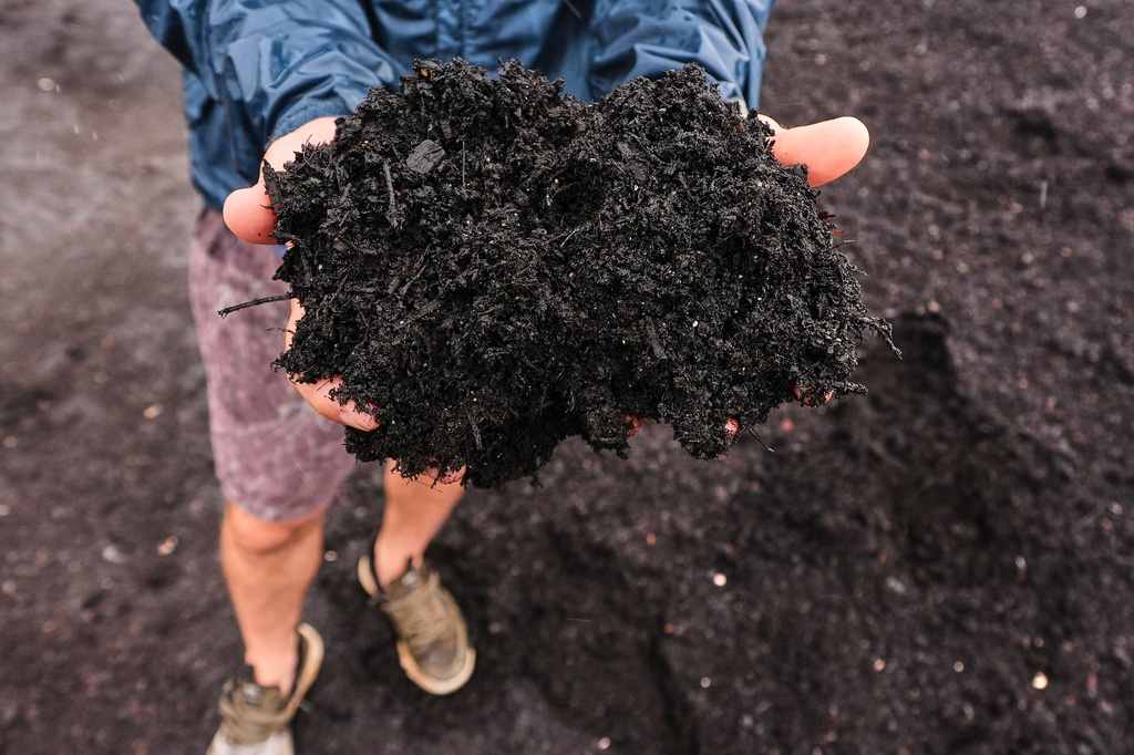 Justin Sandler holds up fresh compost, which was made from a variety of materials including cups, cutlery, bin liners and food scraps at Black Earth Compost, Monday, Aug. 3, 2026, in Manchester-by-the-Sea, Mass. (AP Photo/Charles Krupa)