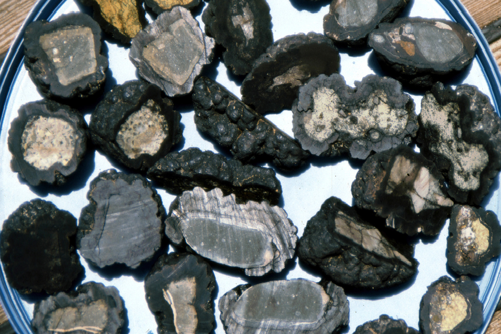 This undated photo provided by the U.S. Geological Survey shows ferromanganese nodules collected from seamounts in the Pacific Ocean. (U.S. Geological Survey via AP)