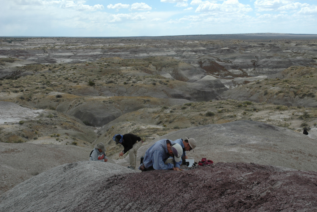 In this photo provided by researchers, Daniel Peppe, Utanah Denetclaw, Anne Weil and Blake Gorman collect paleomagnetic samples in the De-Na-Zin Wilderness area of the San Juan Basin in northwestern New Mexico in May 2011. (Steven L. Brusatte via AP)