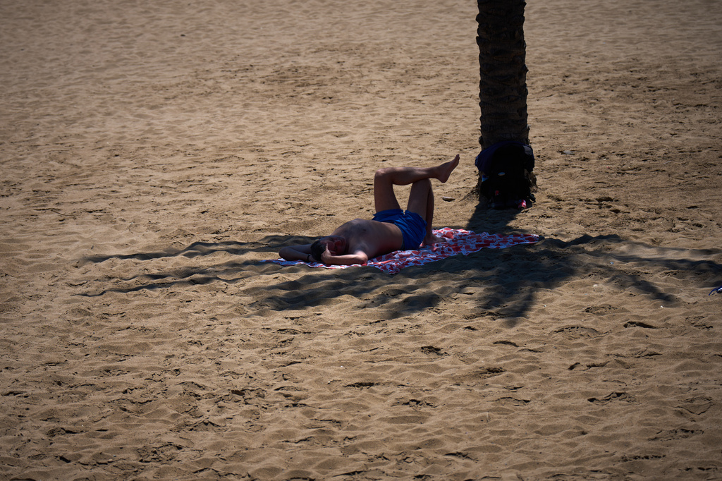 A man takes shelter in the shade of a palm tree to protect himself from the sun in a beach in Barcelona, Spain, Wednesday, May 27, 2026. (AP Photo/Emilio Morenatti)