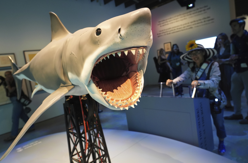 An interactive scale replica based on the shark from the 1975 film "Jaws" is controlled by a visitor during the "Jaws: The Exhibition" press preview on Wednesday, Sept. 10, 2025, at the Academy Museum of Motion Pictures in Los Angeles. (AP Photo/Chris Pizzello)