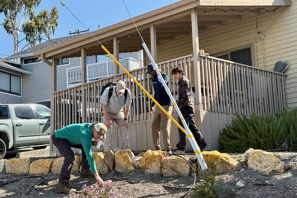 Scientists take samples from the soil Thursday, May 7, 2026, from the neighboring yard of a home in Arroyo Grande, Calif., connected to the man convicted of killing Kristin Smart as part of a sheriff's investigation. (AP Photo/Haven Daley) CORRECTION: Corrects from authorities to scientists