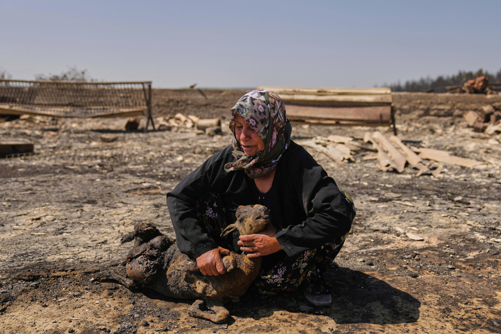 Farmer Turkan Ozkan, 64, cries while embracing one of her goats killed in a fire in Guzelyeli, Turkey, Aug. 12, 2025. (AP Photo/Khalil Hamra)