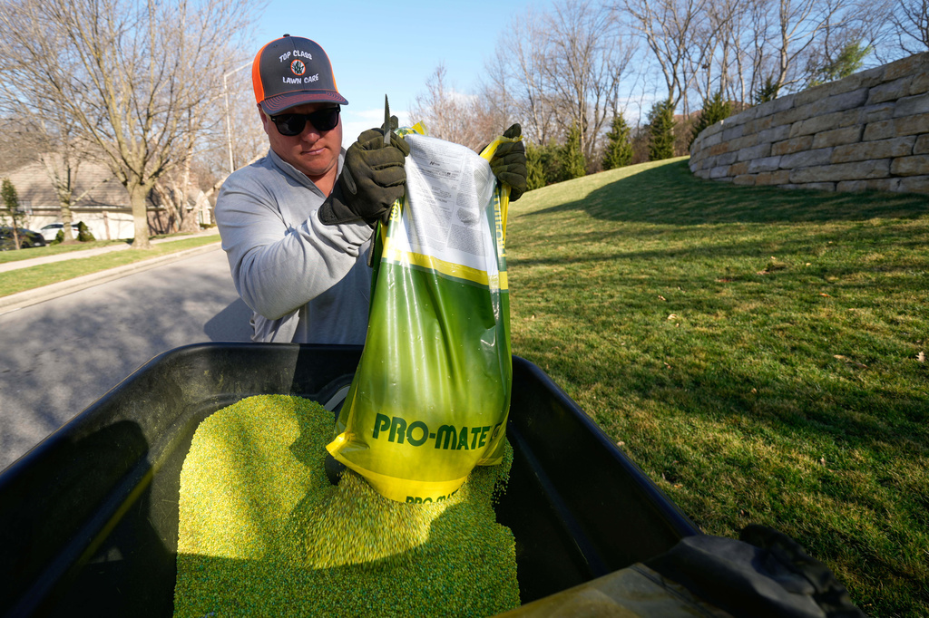 Top Class Lawn Care owner Jake Wilson dumps fertilizer into a hopper before applying it to a lawn Thursday, March 26, 2026, in Kansas City, Mo. (AP Photo/Charlie Riedel)
