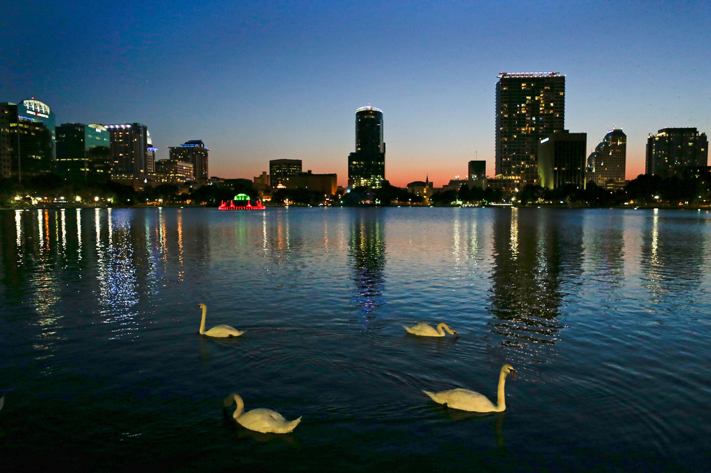 FILE - In this Monday, May 19, 2014 photo, swans swim in Lake Eola as the sun sets in Orlando, Fla. (AP Photo/John Raoux, File)
