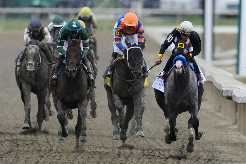 Paco Lopez, right, atop Napoleon Solo, leads the pack to win the 151st running of the Preakness Stakes horse race, Saturday, May 16, 2026, at Laurel Park in Laurel, Md. (AP Photo/Nick Wass)