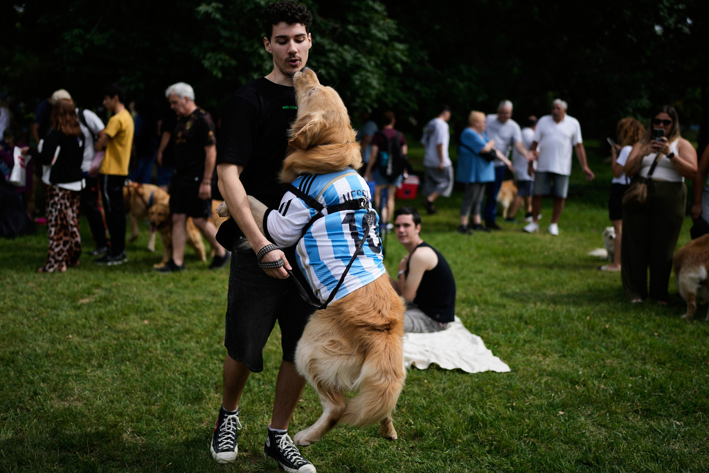 A man plays with his dog at a Palermo neighborhood park as people try to set a world record of most Golden Retrievers gathered in a park, in Buenos Aires, Argentina, Monday, Dec. 8, 2025. (AP Photo/Natacha Pisarenko)