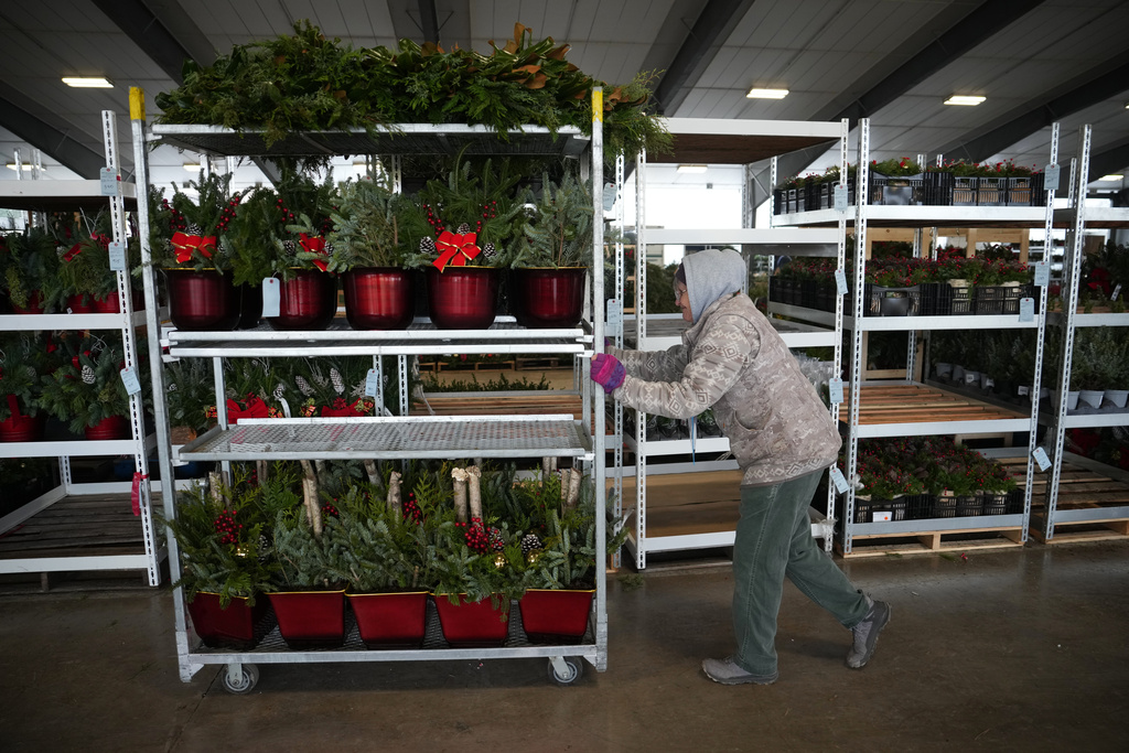 A buyer pushes a cart of holiday decorations at Buffalo Valley Produce Auction, Thursday, Nov. 20, 2025, in Mifflinburg, Pa. (AP Photo/Matt Slocum)