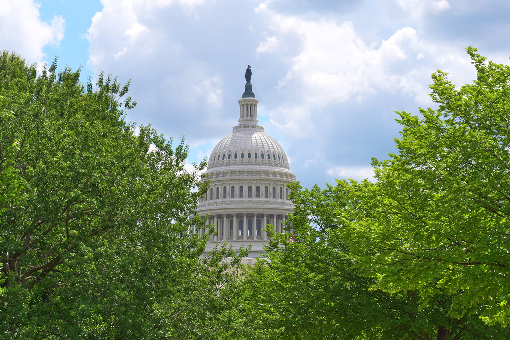 The U.S Capitol is seen Friday, July 31, 2026, in Washington. (AP Photo/Mariam Zuhaib)
