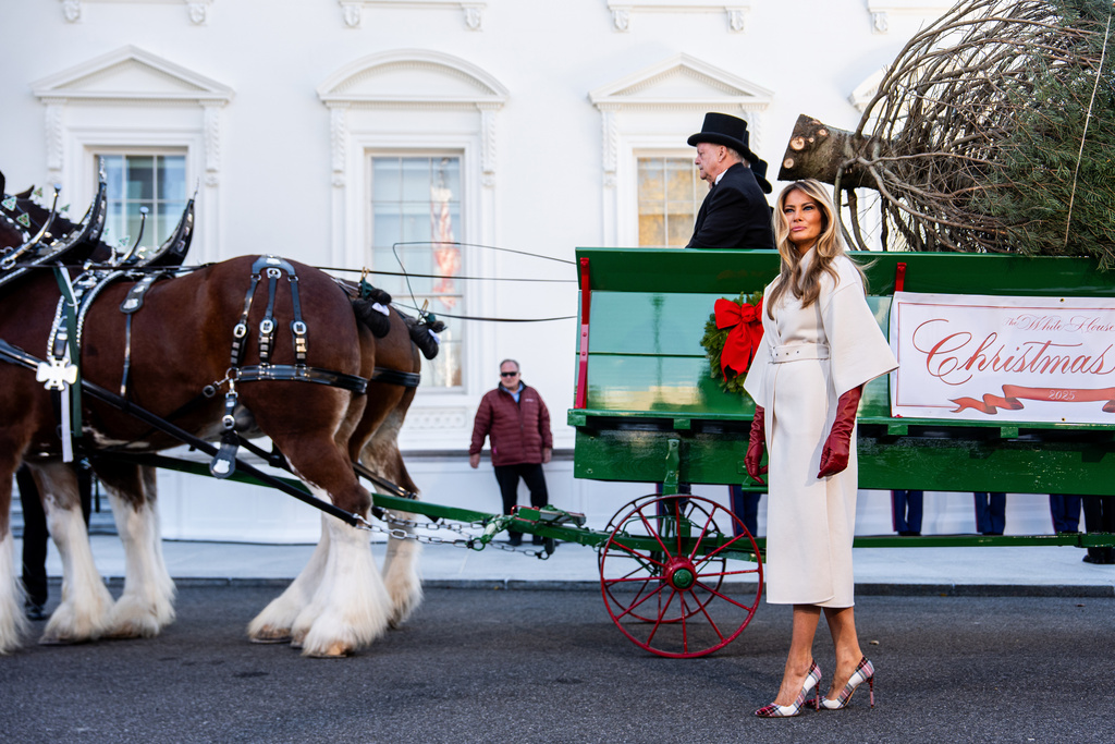 First lady Melania Trump receives the official 2025 White House Christmas Tree, a white fir from Korson's Tree Farms in Michigan, on the North Portico of the White House, Monday, Nov. 24, 2025, in Washington. (AP Photo/Julia Demaree Nikhinson)