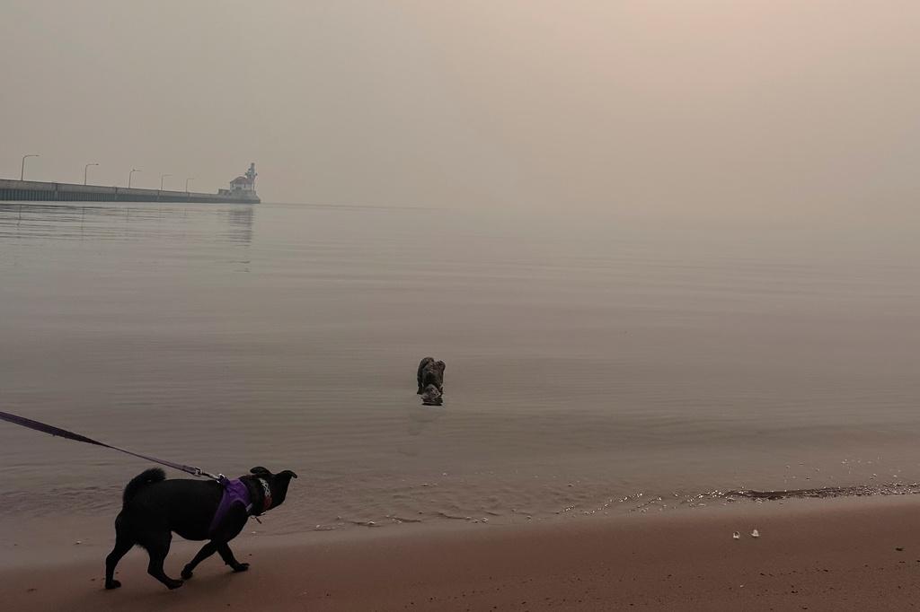 A dog walks along the shores of Lake Superior amid heavy wildfire smoke Thursday, July 16, 2026, in Duluth, Minn. (AP Photo/Scott Bauer)