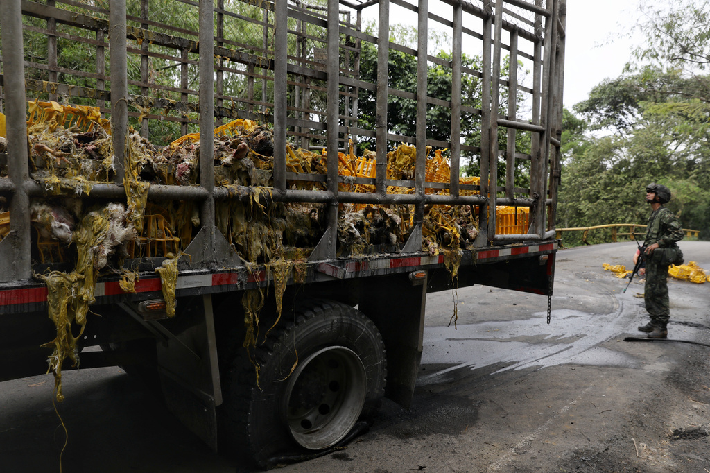 Soldiers stand next to a truck carrying chickens that was set on fire by dissident factions of the former FARC rebels in Jamundi, Colombia, Monday, April 27, 2026. (AP Photo/Santiago Saldarriaga)