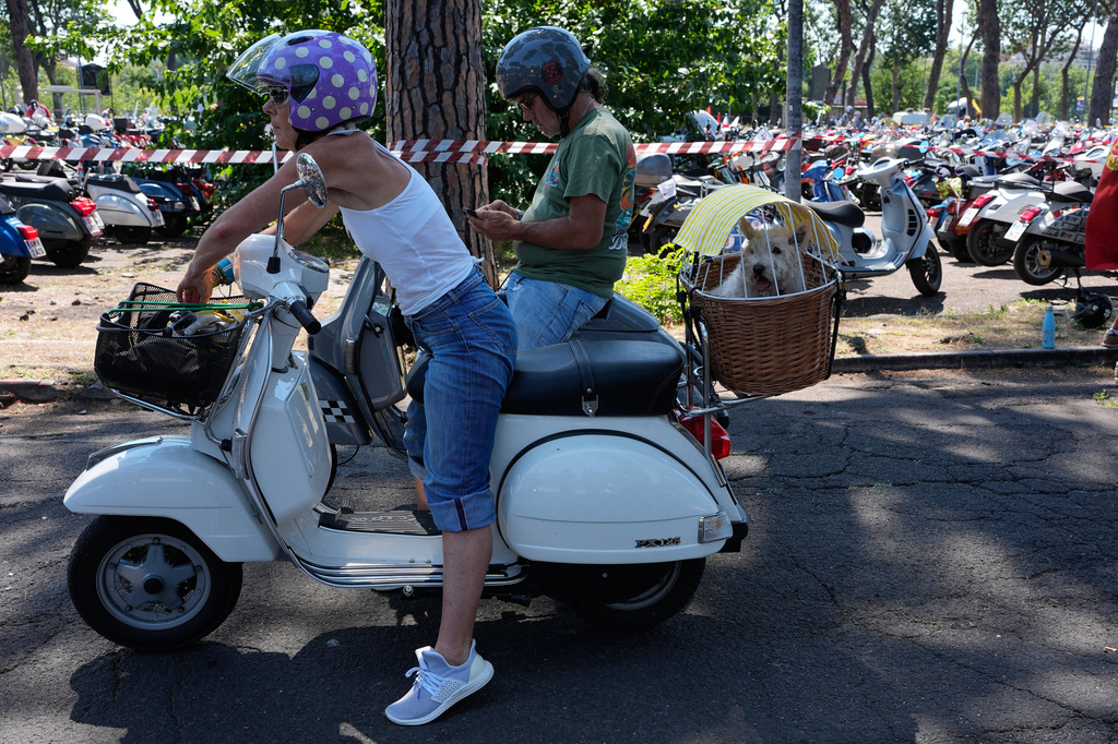 Natalie Dunand, a Vespa enthusiast from France, carries her dog Roxane as she arrives at the Vespa Village during celebrations for the 80th anniversary of the Vespa scooter in Rome, Thursday, June 25, 2026. (AP Photo/Alessandra Tarantino)