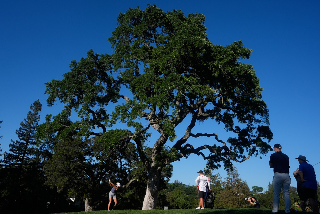 Pauline Roussin-Bouchard, of France, bottom left, hits to the 15th fairway during the first round of the LPGA Fortinet Founders Cup golf tournament, Thursday, March 19, 2026, in Menlo Park, Calif. (AP Photo/Jeff Chiu)