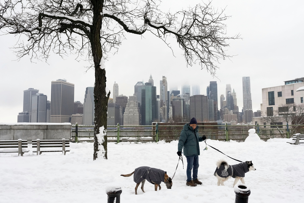 A man walks his dogs on the Brooklyn Heights Promenade, Wednesday, Feb. 25, 2026, in the Brooklyn borough of New York. (AP Photo/Yuki Iwamura)