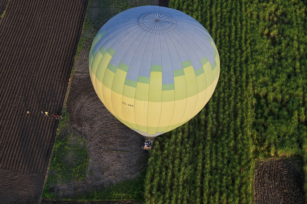 A hot air balloon lands in a farm on the west bank of the Nile River in Luxor, Egypt, Oct. 4, 2025. (AP Photo/Amr Nabil)