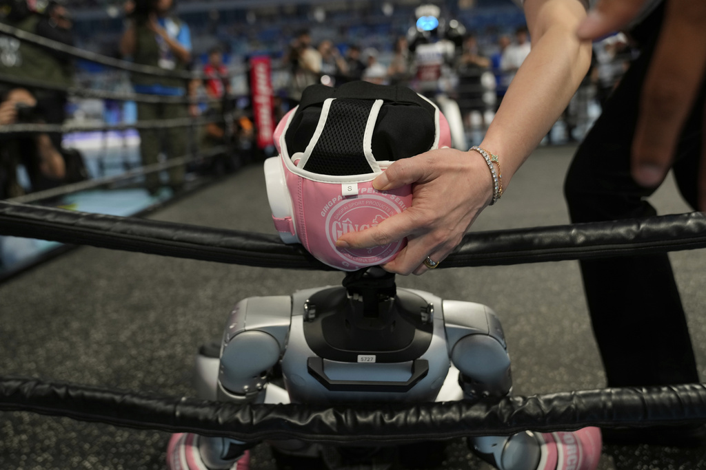 A referee supports the head of a robot after it fell during the Free Combat event at the World Humanoid Robot Games held in Beijing, China, Friday, Aug. 15, 2025. (AP Photo/Mahesh Kumar A.)