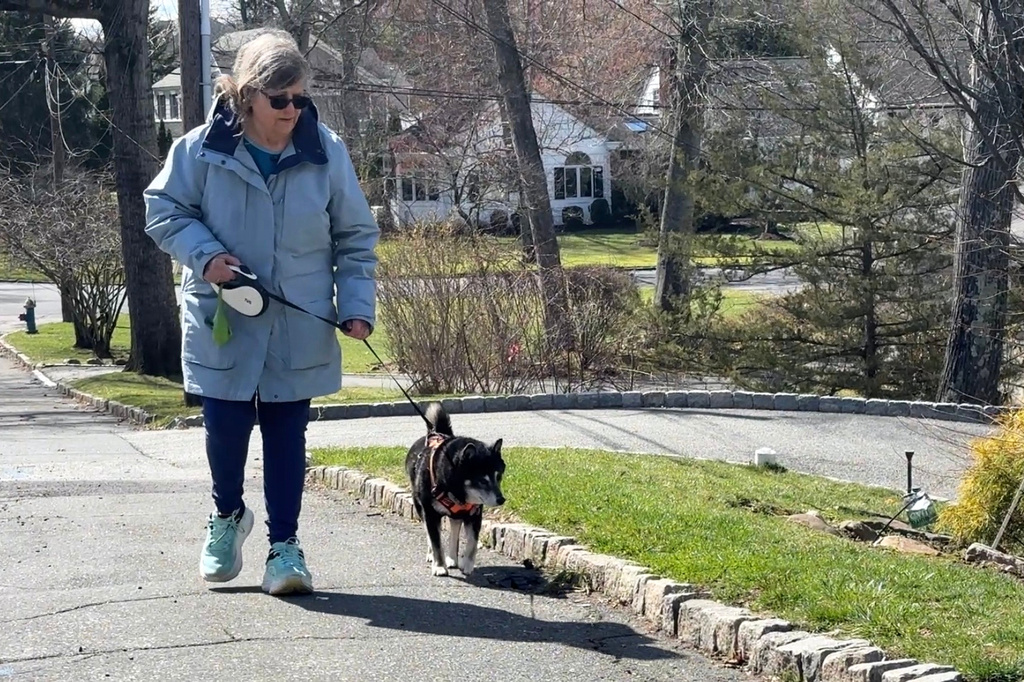 Retiree Barbara Baratta walks a dog, Duncan, in Short Hills, N.J. on March 17, 2026. (AP Photo/Cathy Bussewitz)