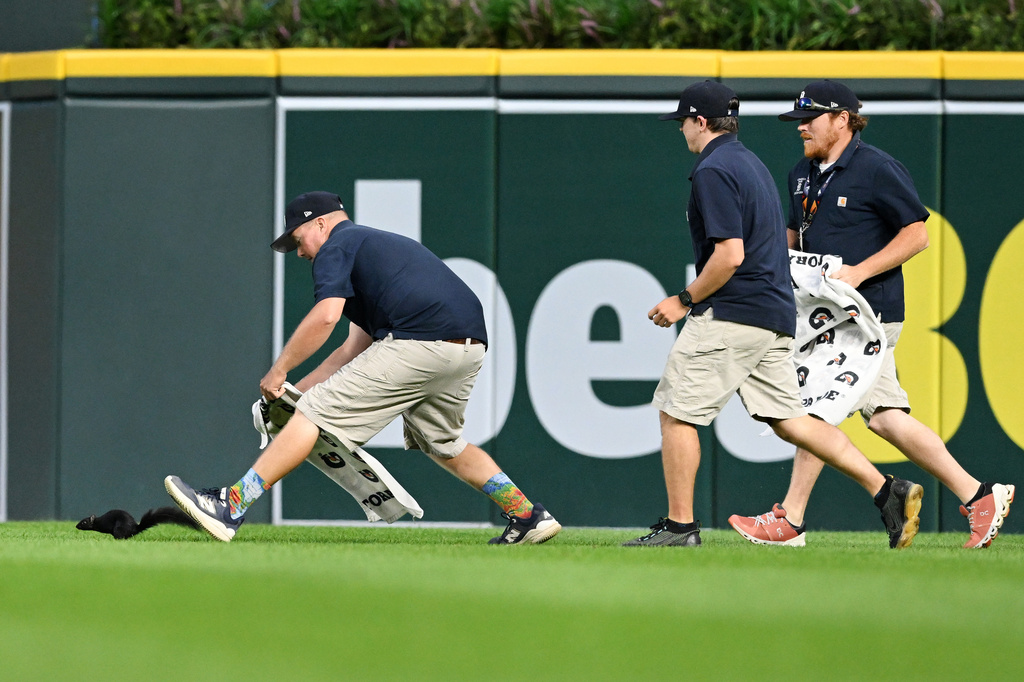 Comerica Park grounds crew attempt to capture a squirrel during the seventh inning of a baseball game between the Detroit Tigers and the Baltimore Orioles, Monday, July 27, 2026, in Detroit. (AP Photo/Jose Juarez)