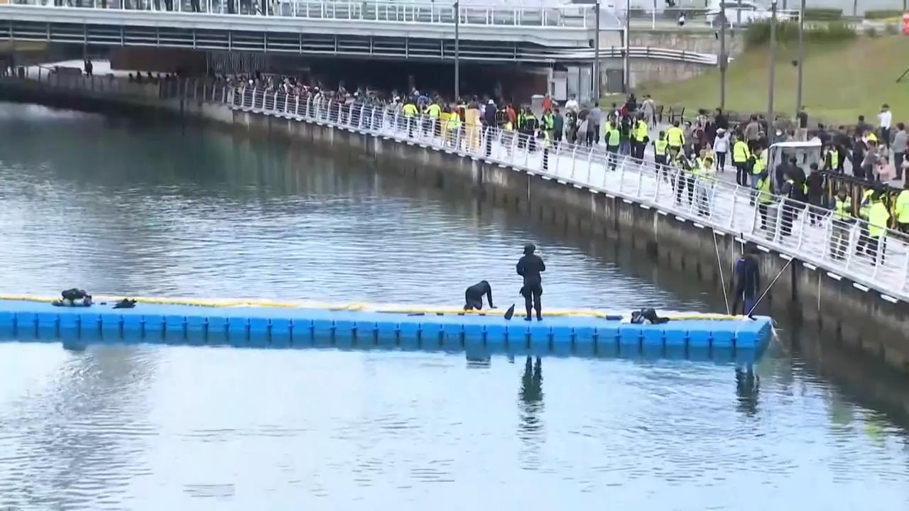 The shark, which was named Bukang-i, was first spotted in the canal on September 18, drawing more than a million visitors.
