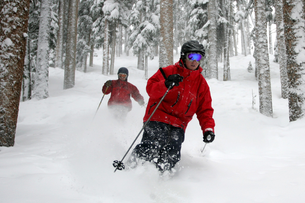 FILE - People ski between the trees in the deep powder at Telluride Ski Resort, March 10, 2006. (AP Photo/Nathan Bilow, File)