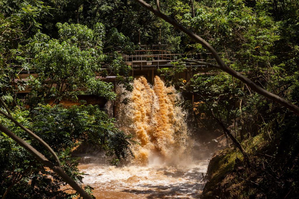 Water from the Wahiawa Dam flows into the Kaukonahua stream in Wahiawa, Hawaii, on Tuesday, March 24, 2026, after recent storms. (Stephen Lam/San Francisco Chronicle via AP)