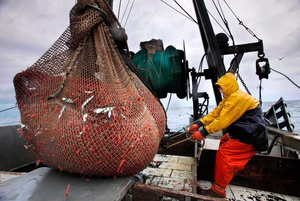 FILE - James Rich maneuvers a bulging net full of northern shrimp caught in the Gulf of Maine, Jan. 6, 2012. (AP Photo/Robert F. Bukaty, File)