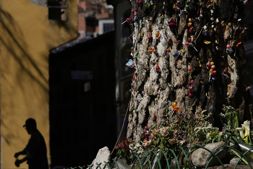 Offerings including candies and flowers left by devotees sit on a tree that was struck by lightning years ago at the General Cemetery and has since been considered sacred in La Paz, Bolivia, Sunday, Aug. 31, 2025. (AP Photo/Juan Karita)