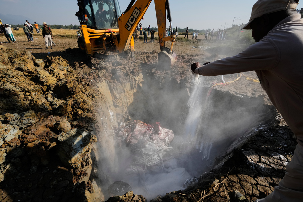 Forest officials spray salt to decompose the carcass of an Asiatic wild elephant burying in a pit after a speeding train hit a heard of wild elephant in the early morning in Changjurai village east of Guwahati, India, Saturday, Dec. 20, 2025. (AP Photo/Anupam Nath)